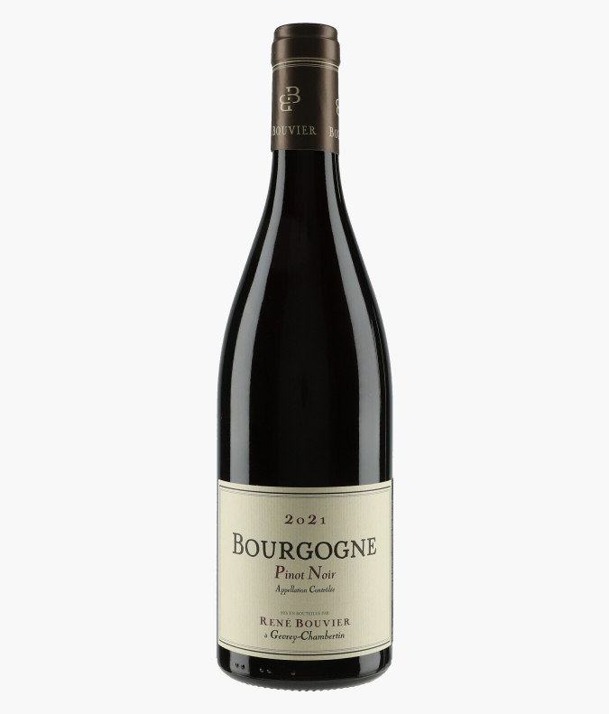 Bourgogne Pinot Noir 2021BOUVIER RENE