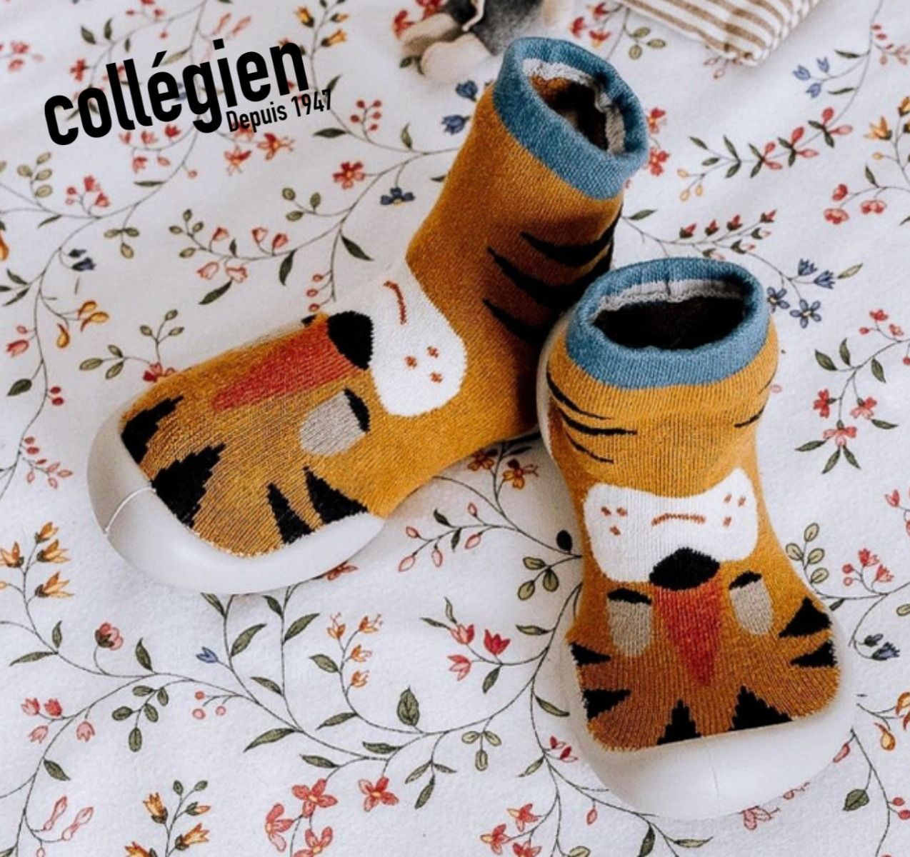 Collégien  TIGROU - Camel Bleu