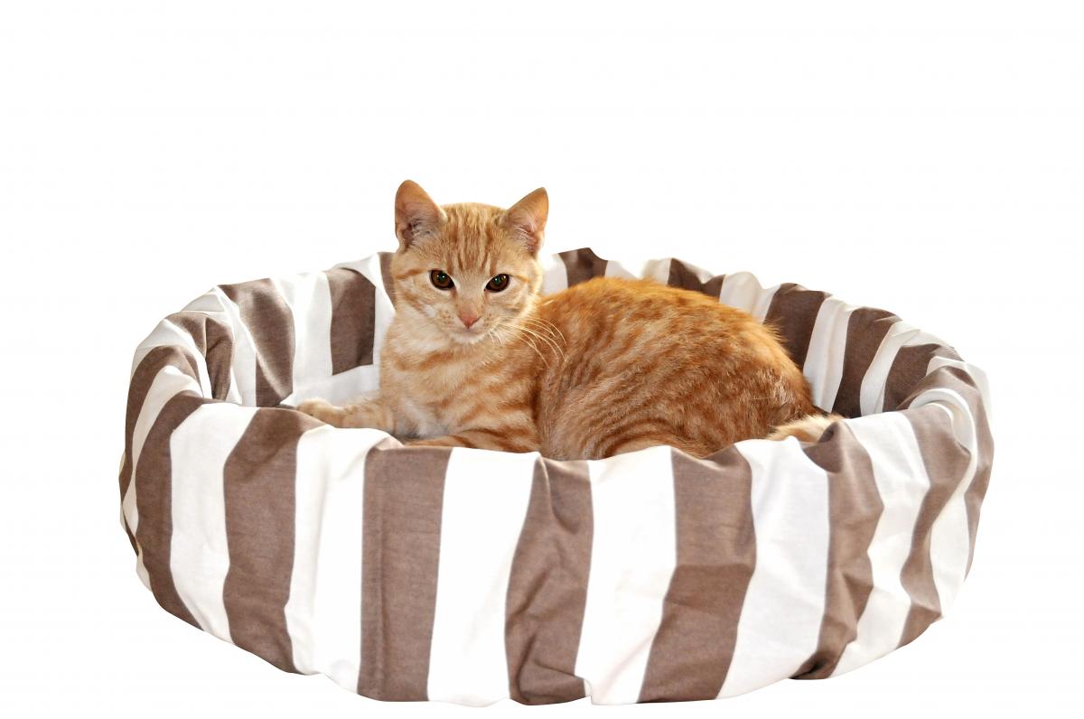 Silvio Design Hunde Ruhe-Schlafinsel Streifen