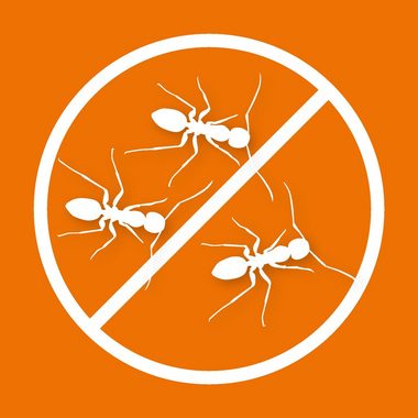 Ardap Insektenspray Ardap Ameisen Spray 400 ml