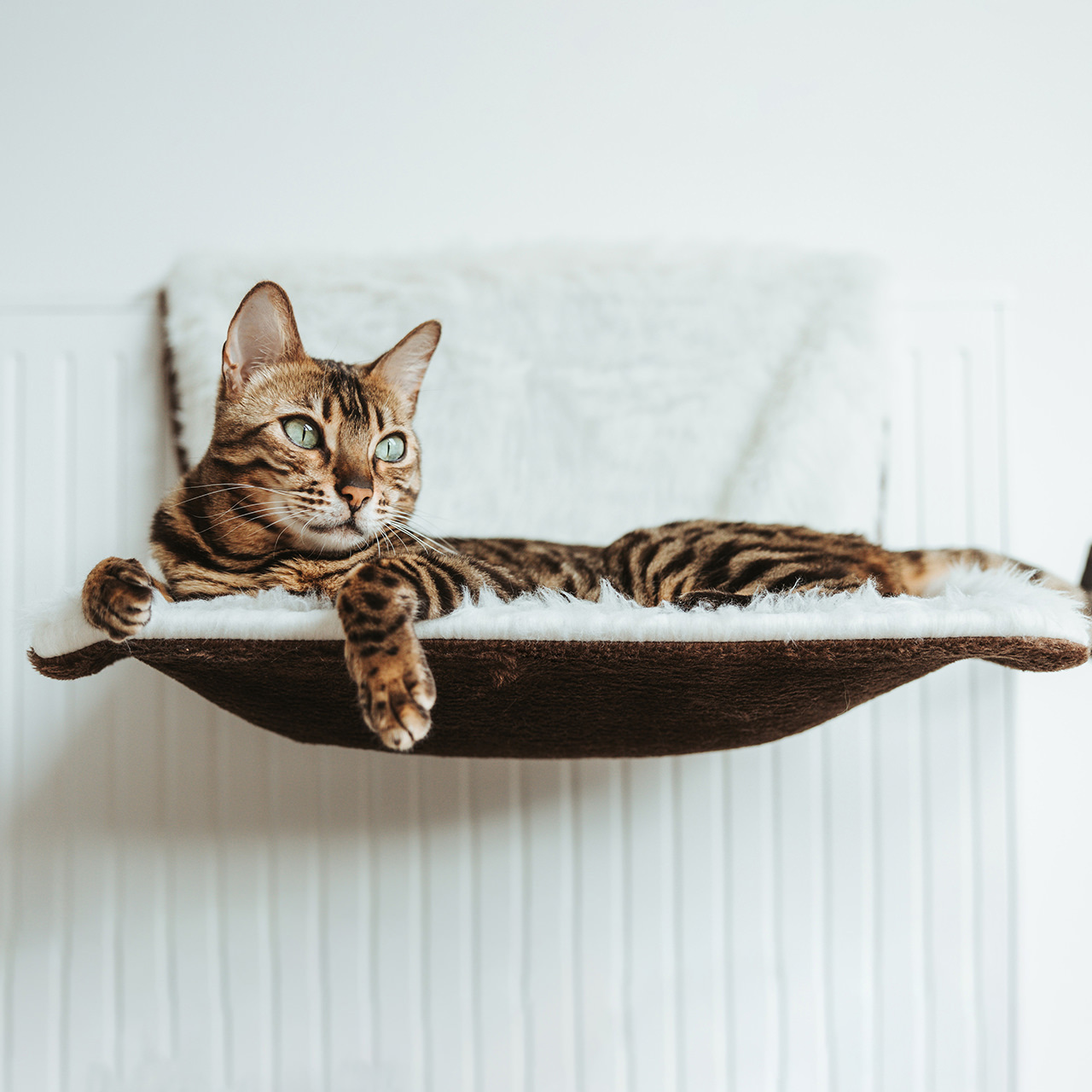 Canadian Cat Company Katzenhängematten & Fensterliegeplätze Canadian Cat Company Liegemulde für Heizkörper braun