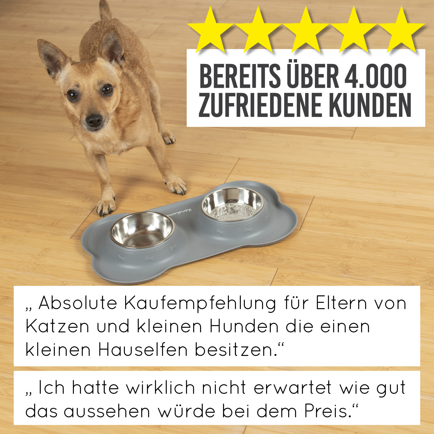 KaraLuna Futternäpfe KaraLuna Napfunterlage mit 4 Näpfen grau 850 ml