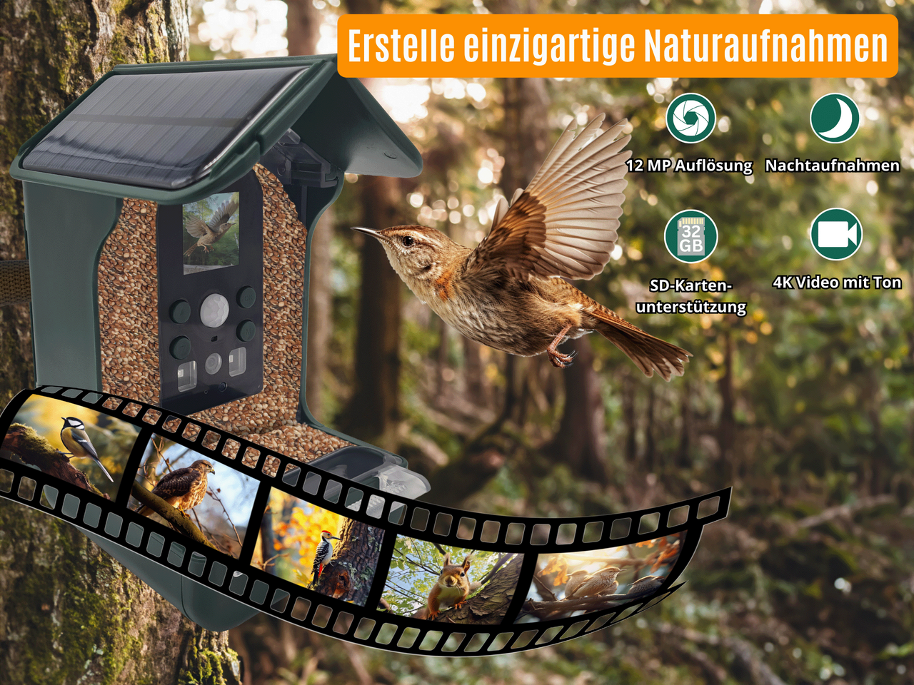 Berger & Schröter Vogel-Futterhaus mit Kamera und Solar