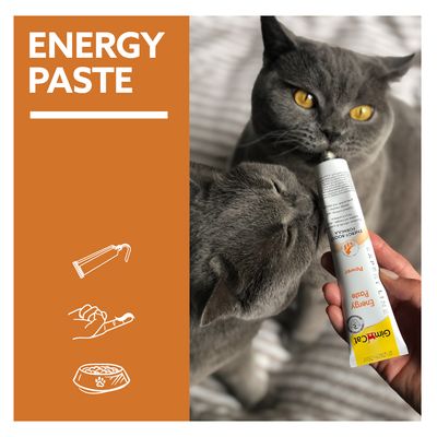 GimCat Energy Paste