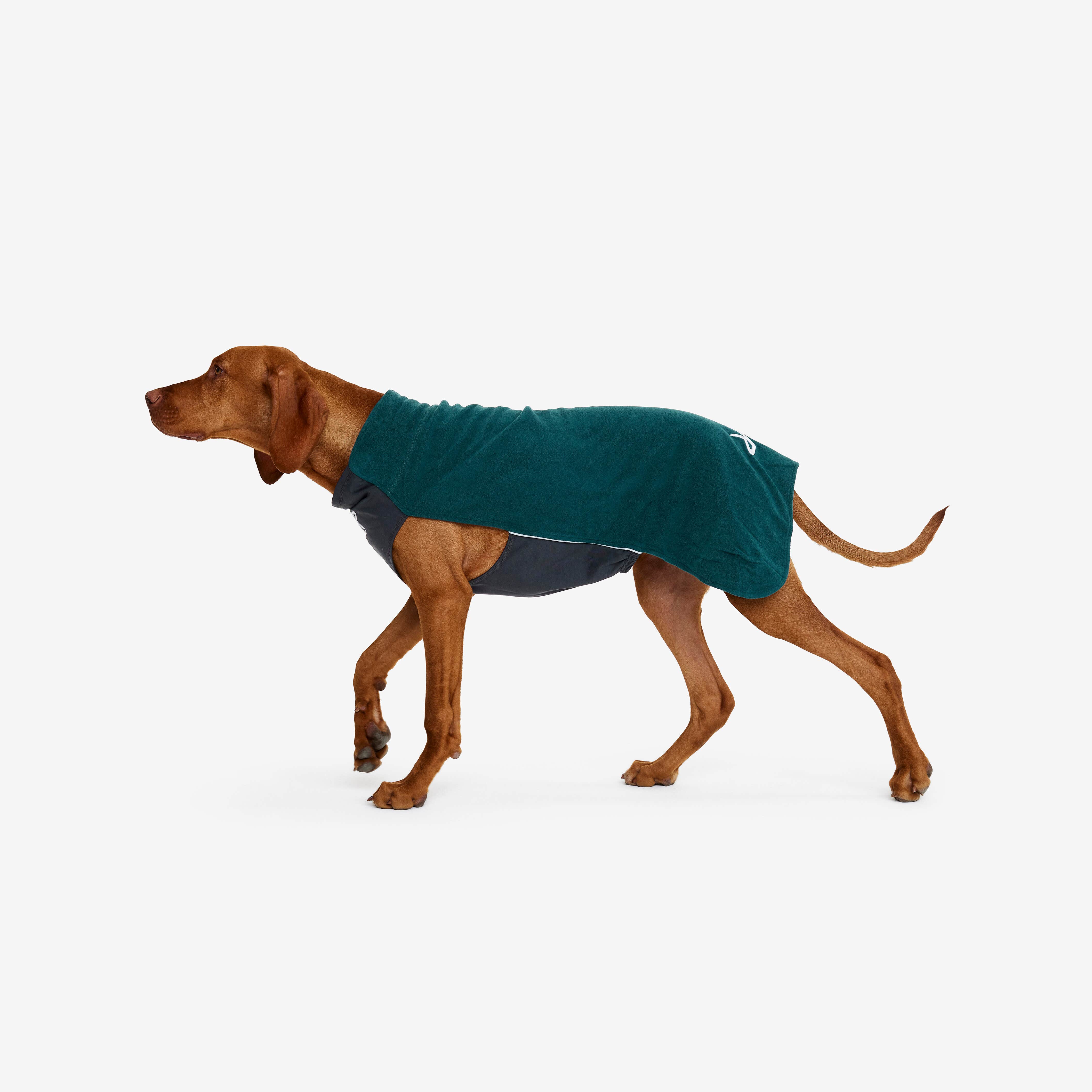 Trekker Fleece Chien Teal