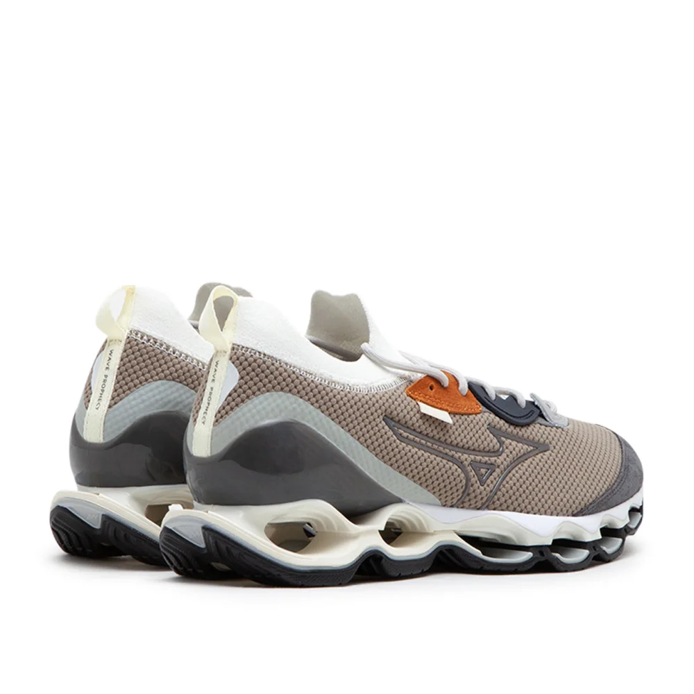 Mizuno Wave Prophecy Beta D1GA227603 / braun