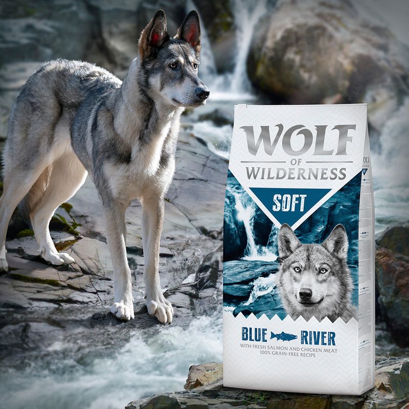 Wolf of Wilderness 'Soft - Blue River' - Lachs