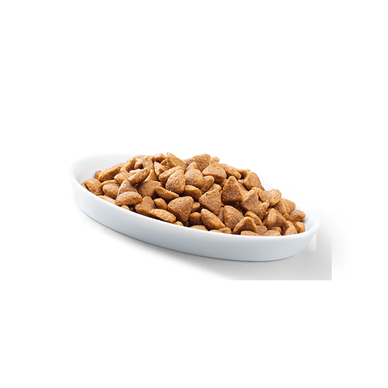PERFECT FIT Trockenfutter PERFECT FIT Beutel Senior 7+ mit Huhn 6x750 g