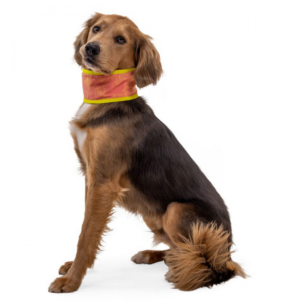 Ruffwear - Swamp Cooler Neck Gaiter - Hundezubehör