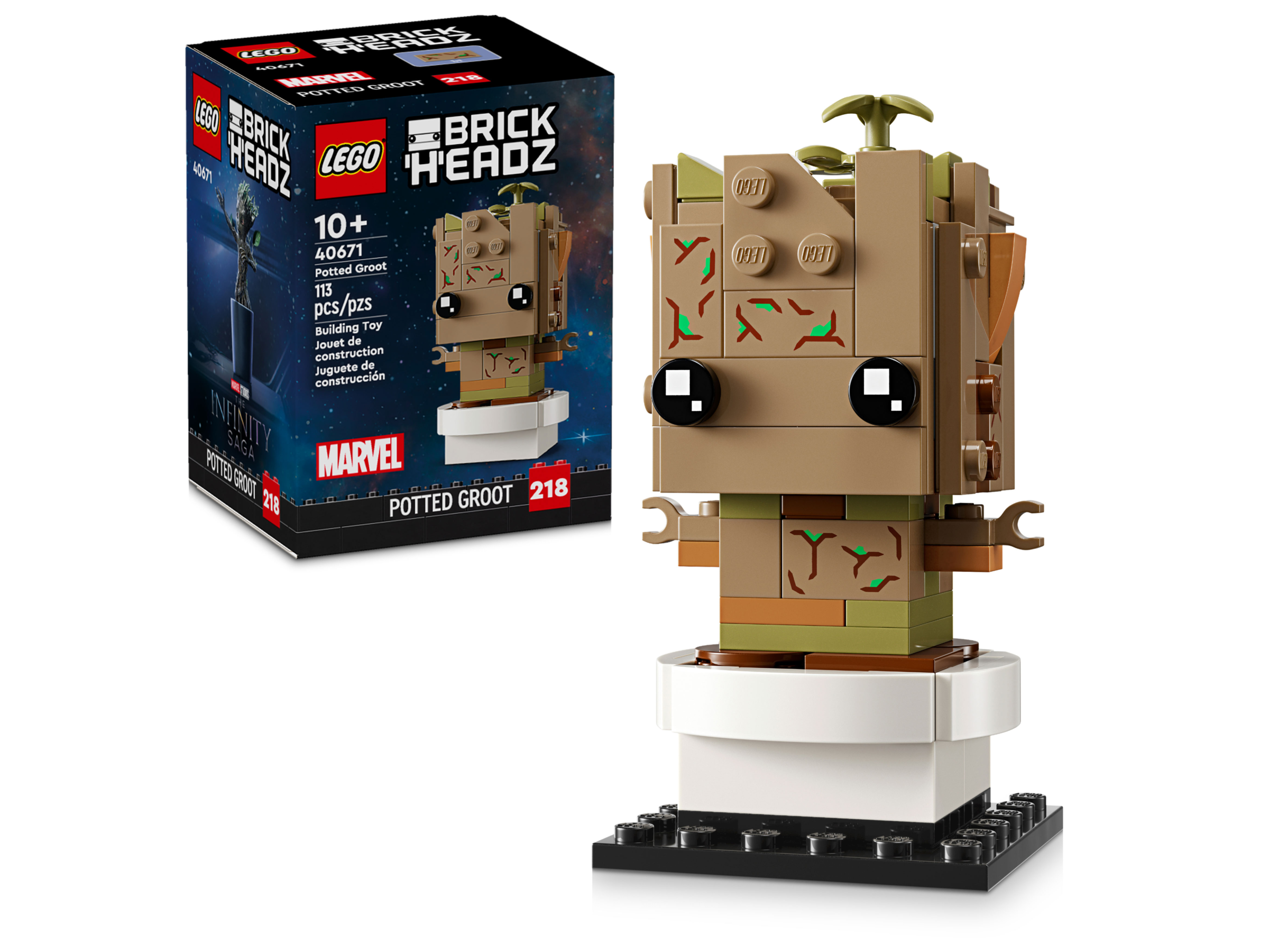 Groot im Topf 40671