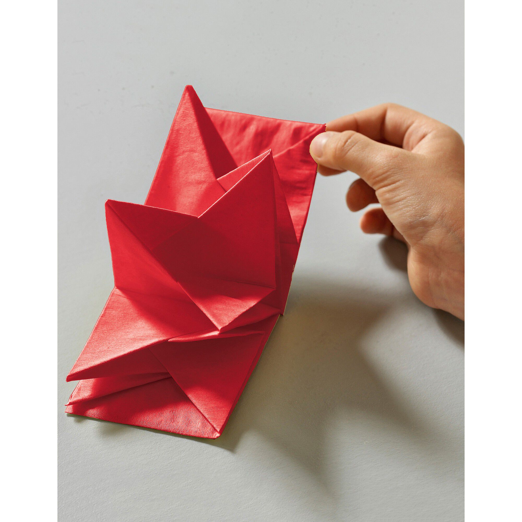 Lot de 12 serviettes prépliées