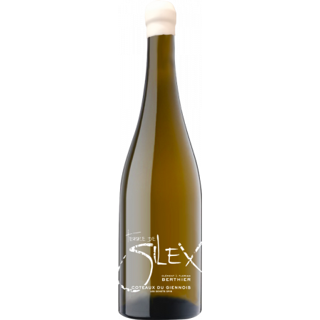COTEAUX DU GIENNOIS BLANC - TERRE DE SILEX 2022 - CLÉMENT & FLORIAN BERTHIER