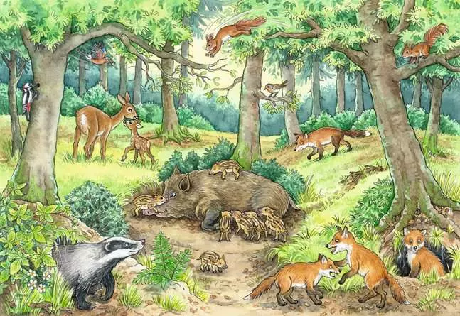 Kinderpuzzle ab 3 Jahren - Wieso? Weshalb? Warum? Tiere im Wald und auf der Wiese - 12 Teile