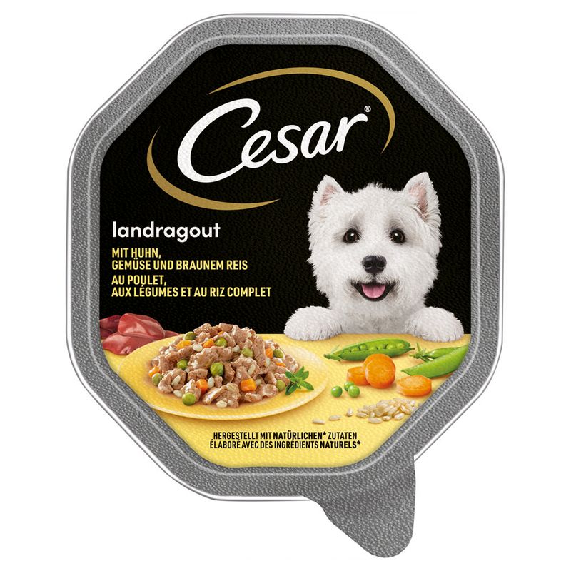 Cesar Schale 14 x 150 g