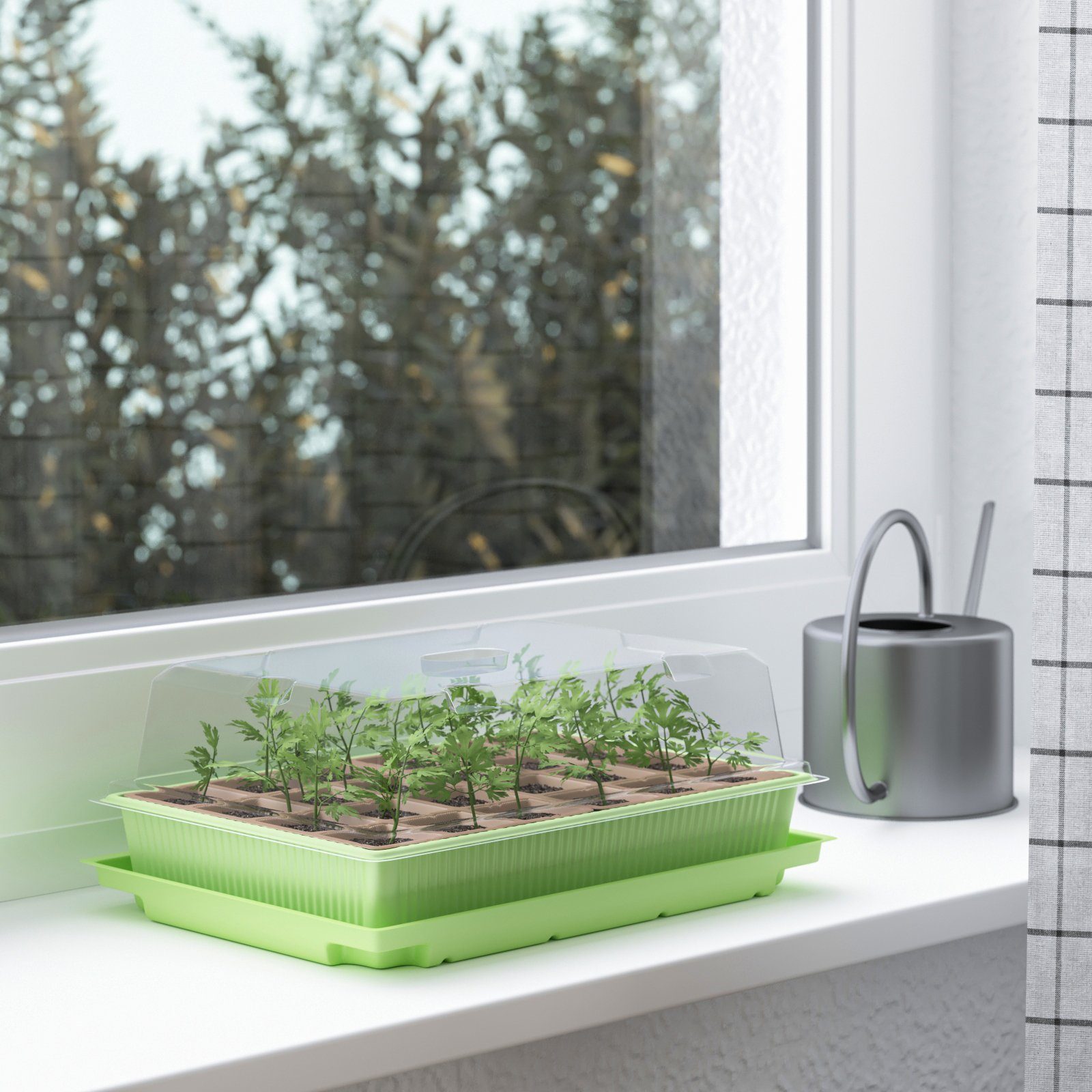 Wellgro Gewächshaus Mini Gewächshaus für 24 Pflanzen, Zimmergewächshaus, Anzuchtschale