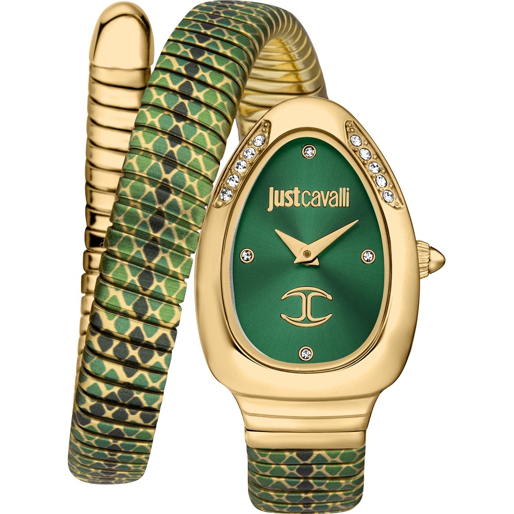 Just Cavalli Montre pour femme Acier inoxydable Montre