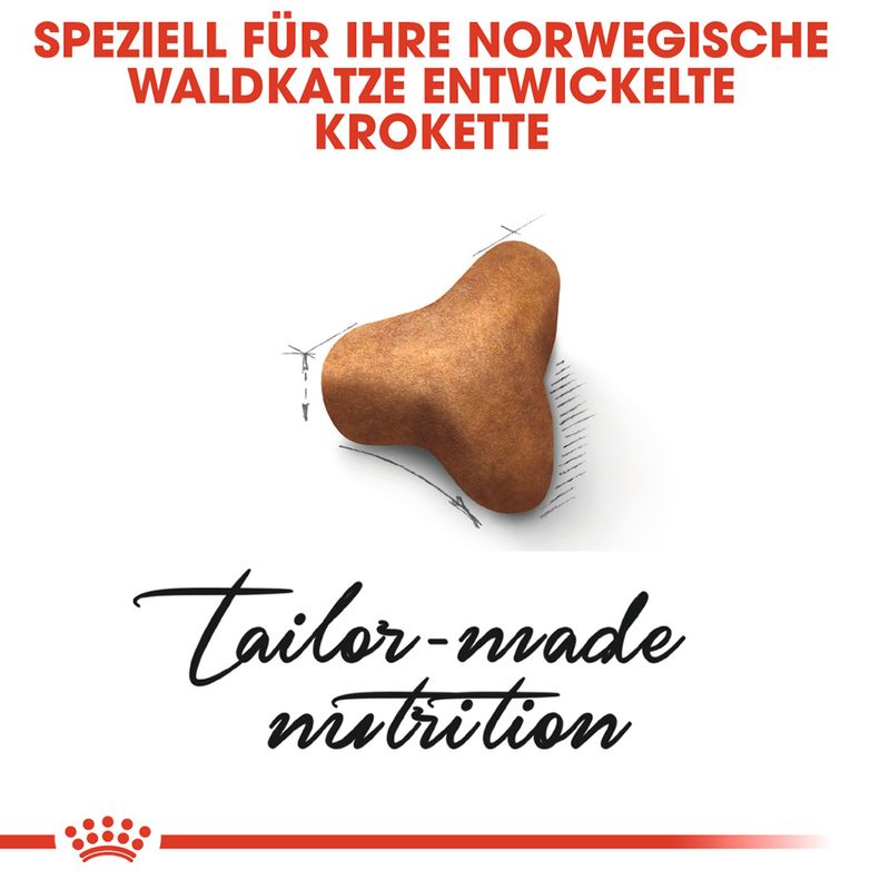 Royal Canin Norwegische Waldkatze Adult