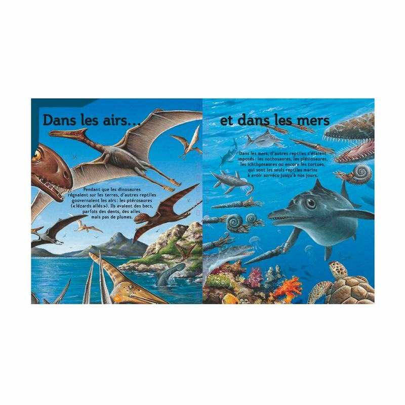 Livre La petite encyclopédie des dinosaures - Gallimard Jeunesse