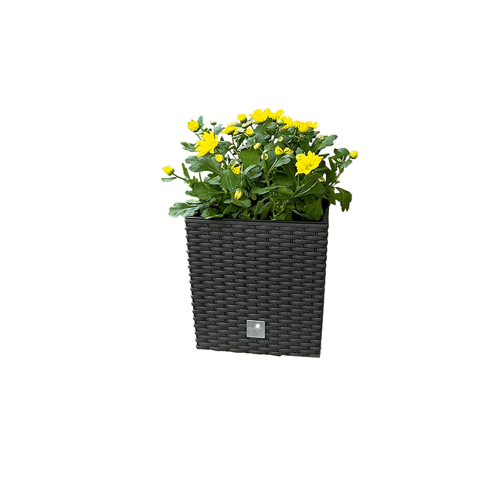 Protanic Powertec Garden Blumentopf 