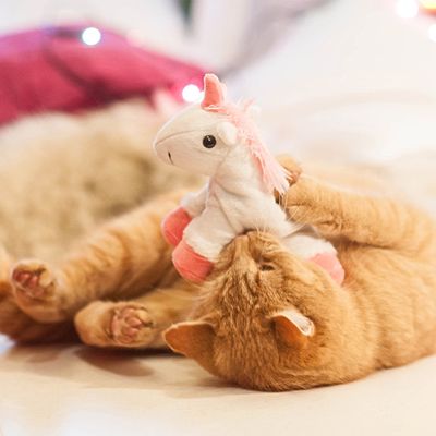 Aumüller Katzenspielzeug Einhorn