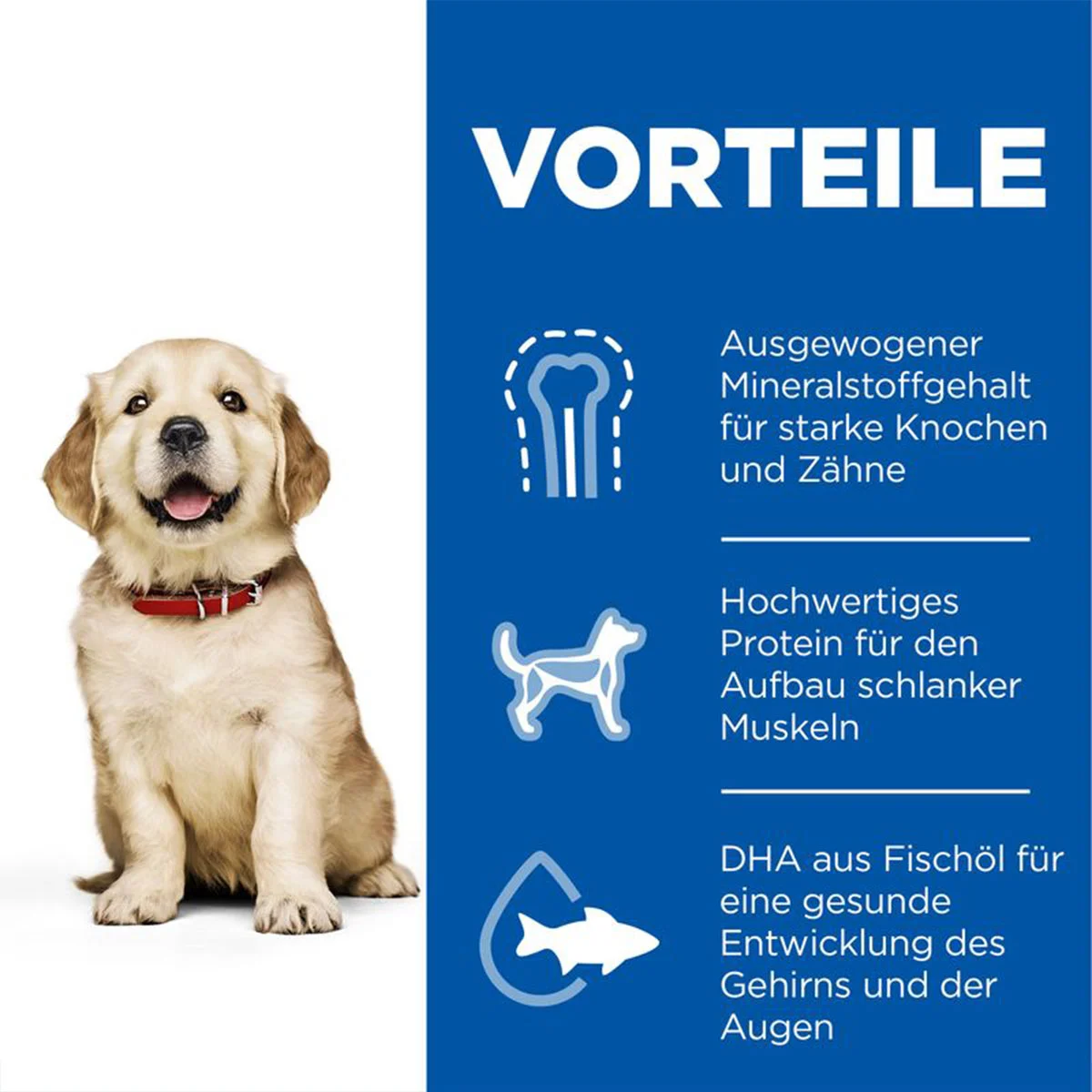 Hill's Science Plan Hund Large Breed Puppy Huhn 14,5kg
