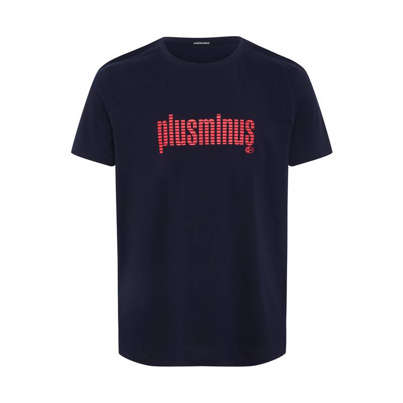 Chiemsee T-Shirt T-Shirt Herren