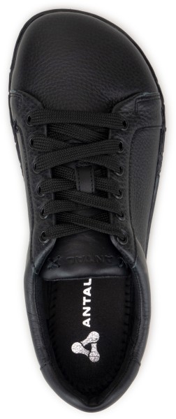 Antal ~ Camino Leder Sneaker ~ Schwarz