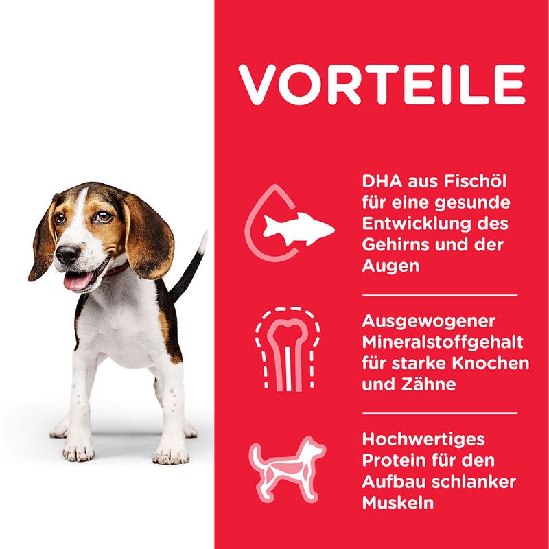 Hill's Science Plan Puppy <1 Medium mit Huhn