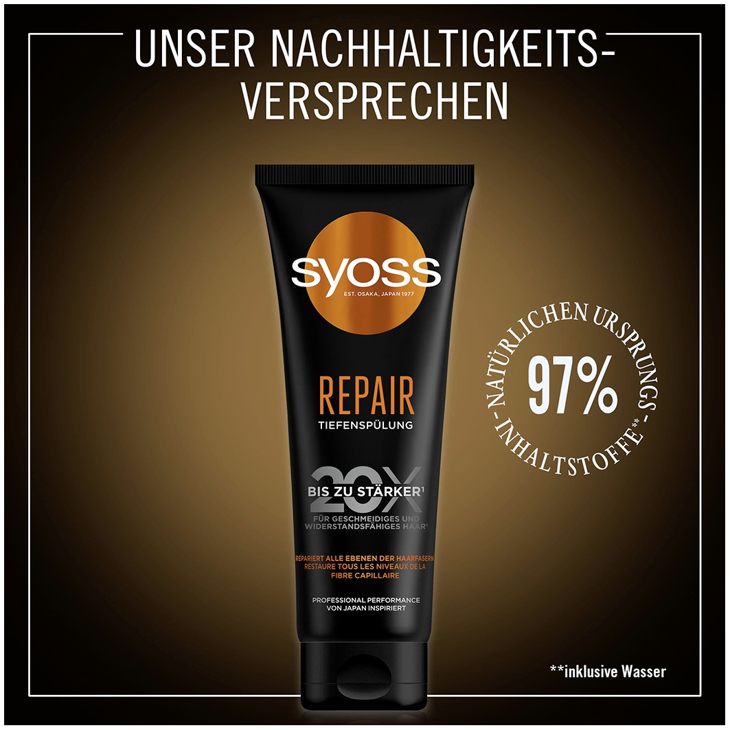 Tiefen-Spülung Repair