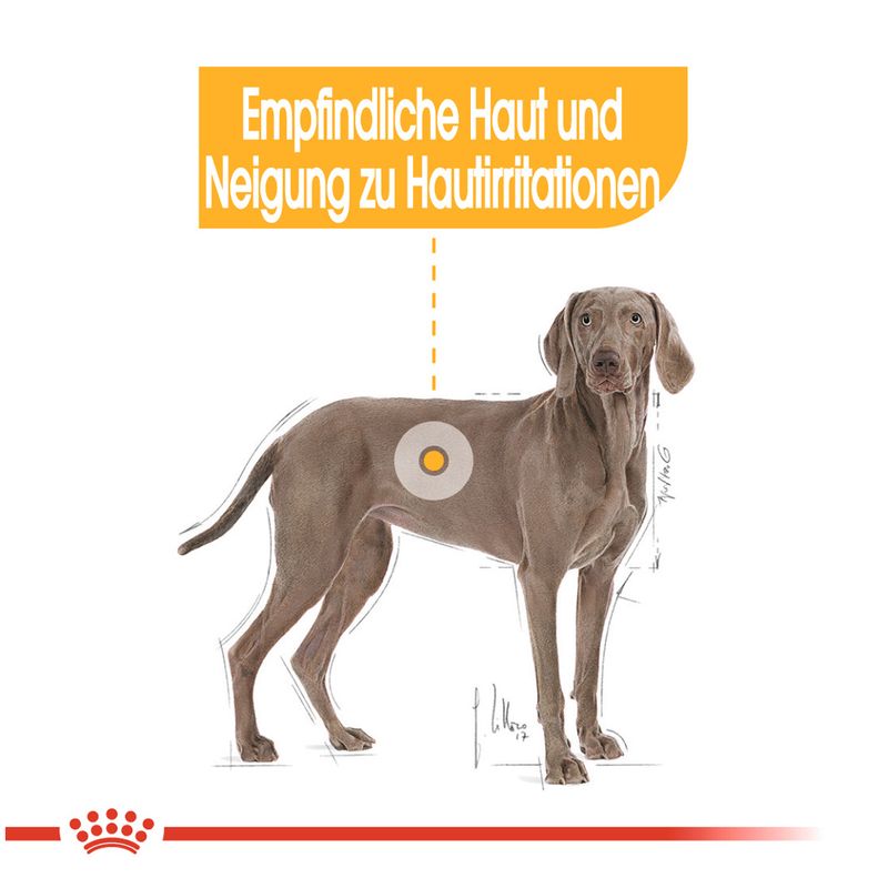 Royal Canin Maxi Dermacomfort