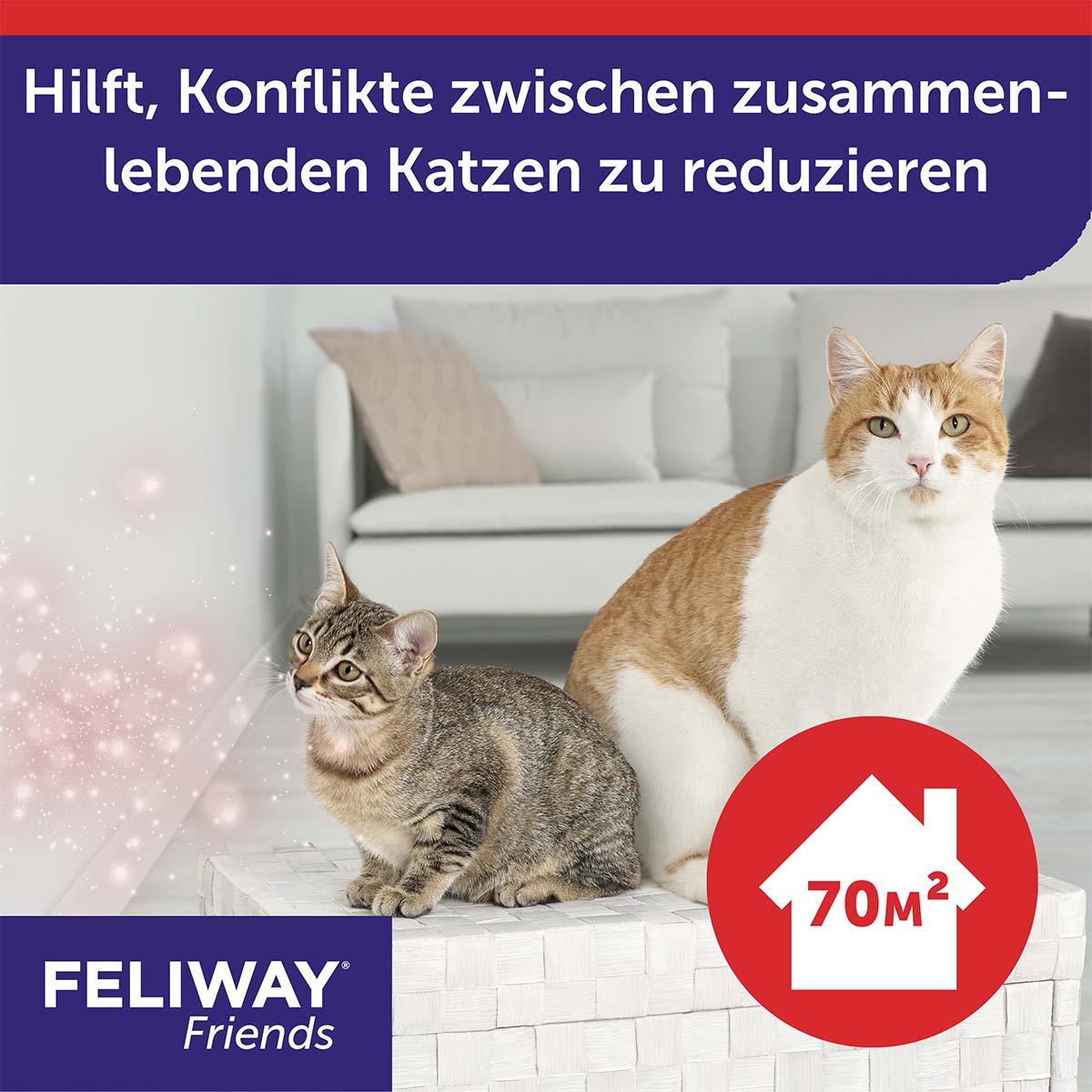 Feliway Friends 30-Tage Nachfüllflakon kaufen
