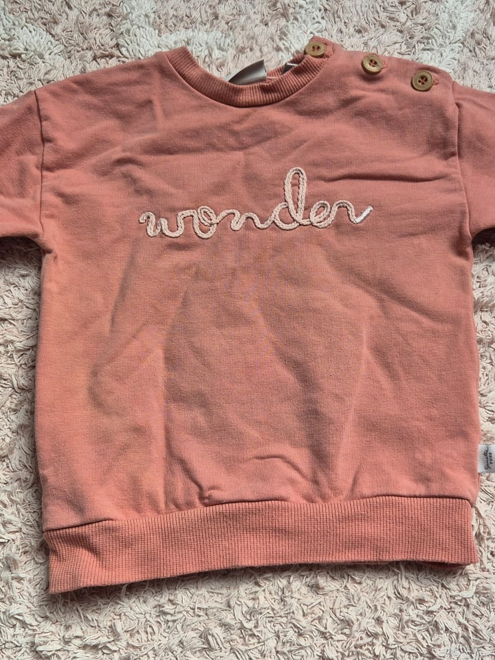 Sanetta Kidswear Sweatshirt in Hellbraun günstig kaufen 80