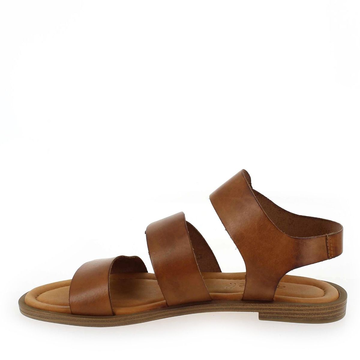 Aliwell  SOLAL - Camel