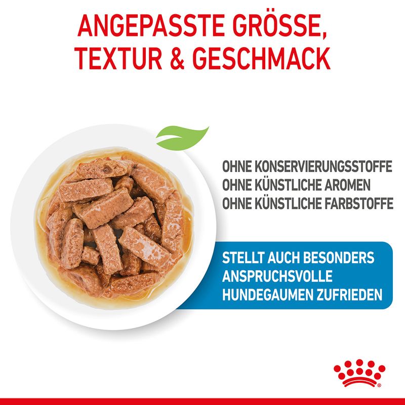 Royal Canin Maxi Puppy in Soße