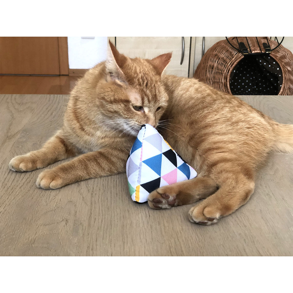 Aumüller Katzenspielpyramide Graphic günstig kaufen