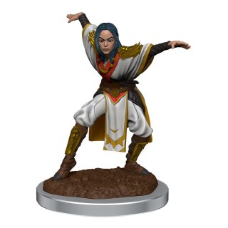 Pathfinder Battles Deep Cuts Miniaturen: Half-Elf Monk Female (unpainted) (2)