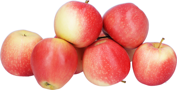 Äpfel rot Gala