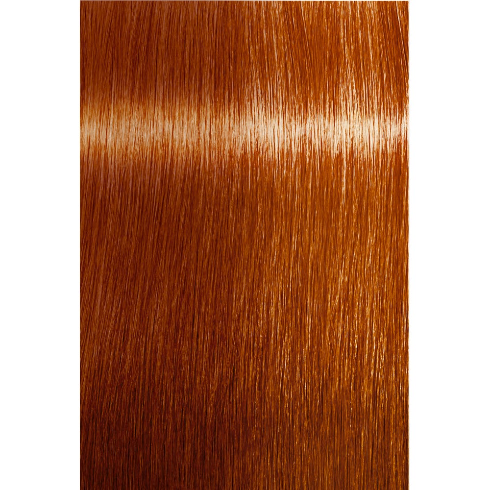 Indola Color Style Mousse Hellbraun 200 ml