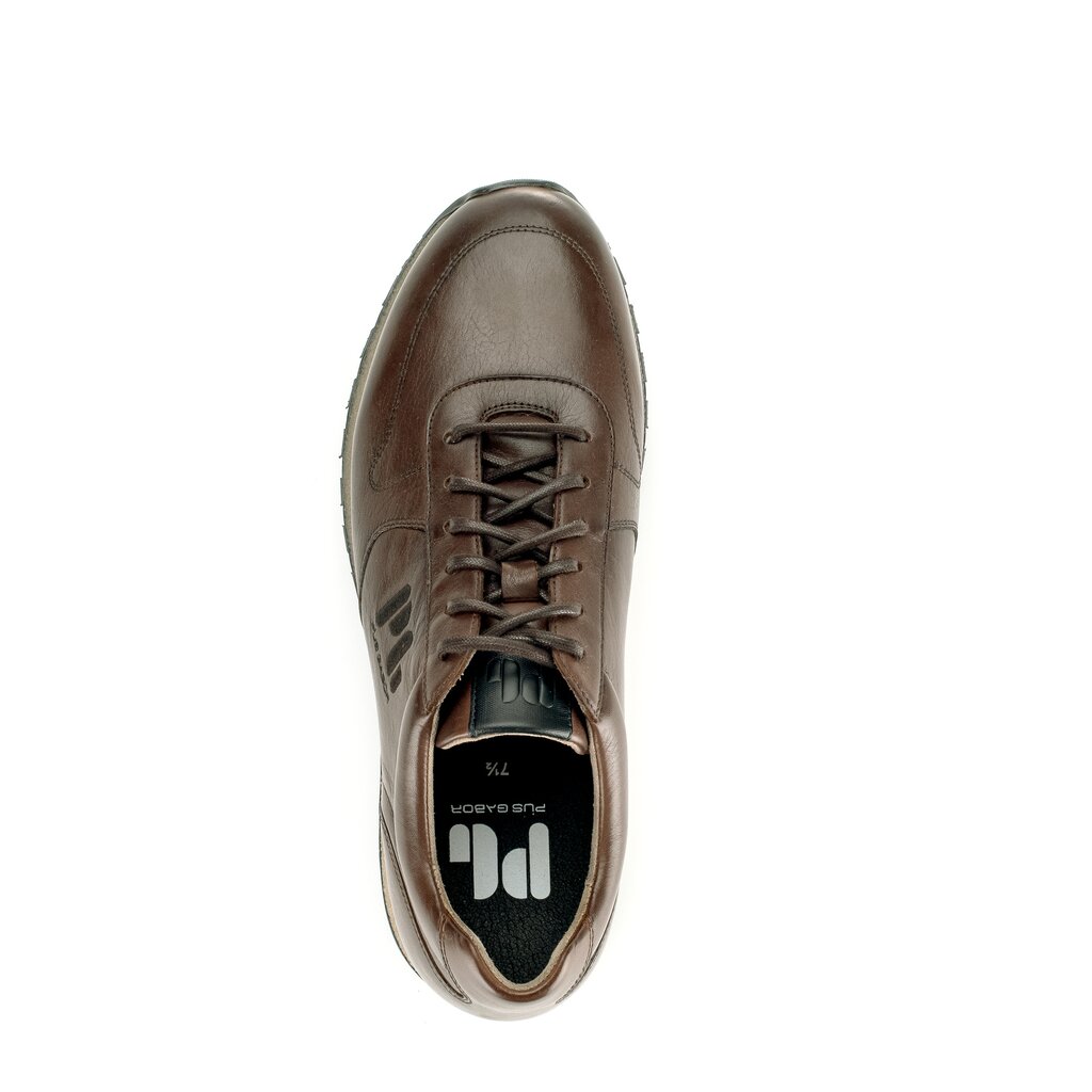 Pius Gabor PG0496 Sneaker low braun