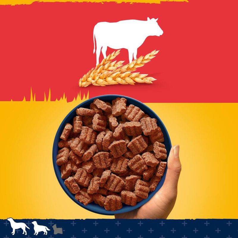 Pedigree Tender Goodness mit Rind zu TOP-Preisen