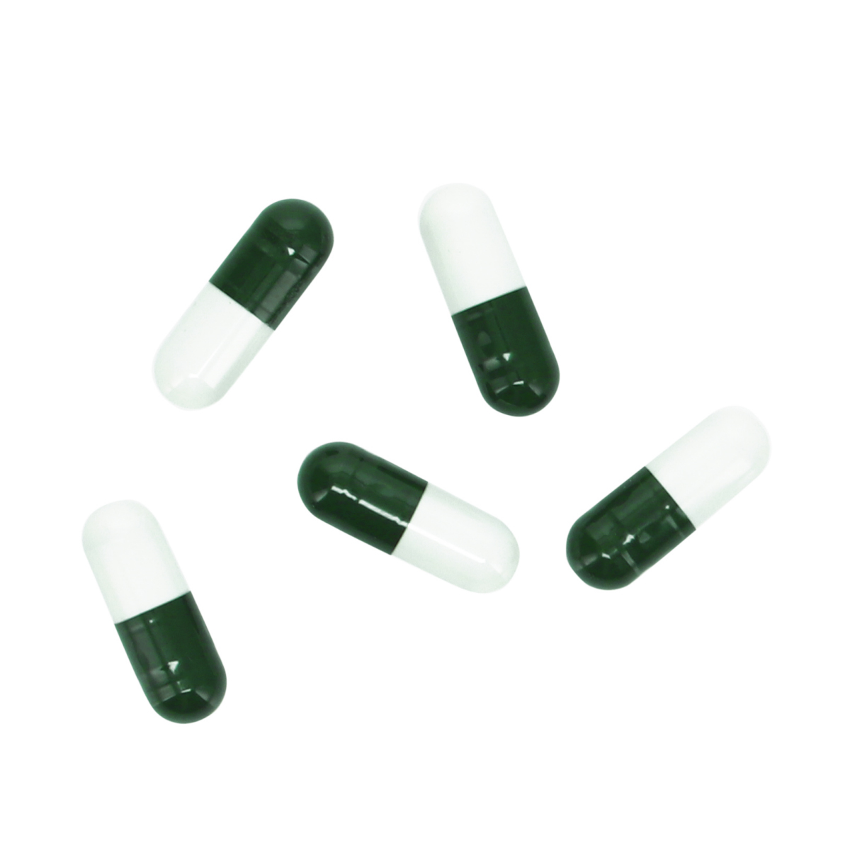 Hobby Köder Special Bait für Planaria X 5 Stk.