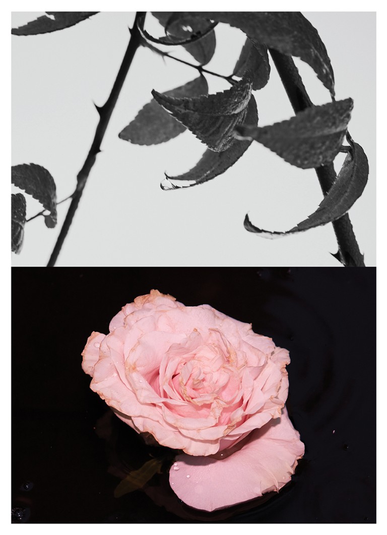 Dries Van Noten Pink Carnivora Perfume Refill - breathtaking