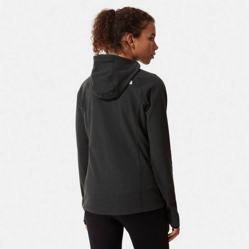 The North Face HOMESAFE Fleecejacke Damen