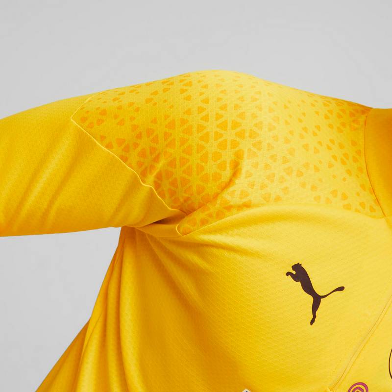 PUMA Borussia Dortmund Funktionsshirt Herren