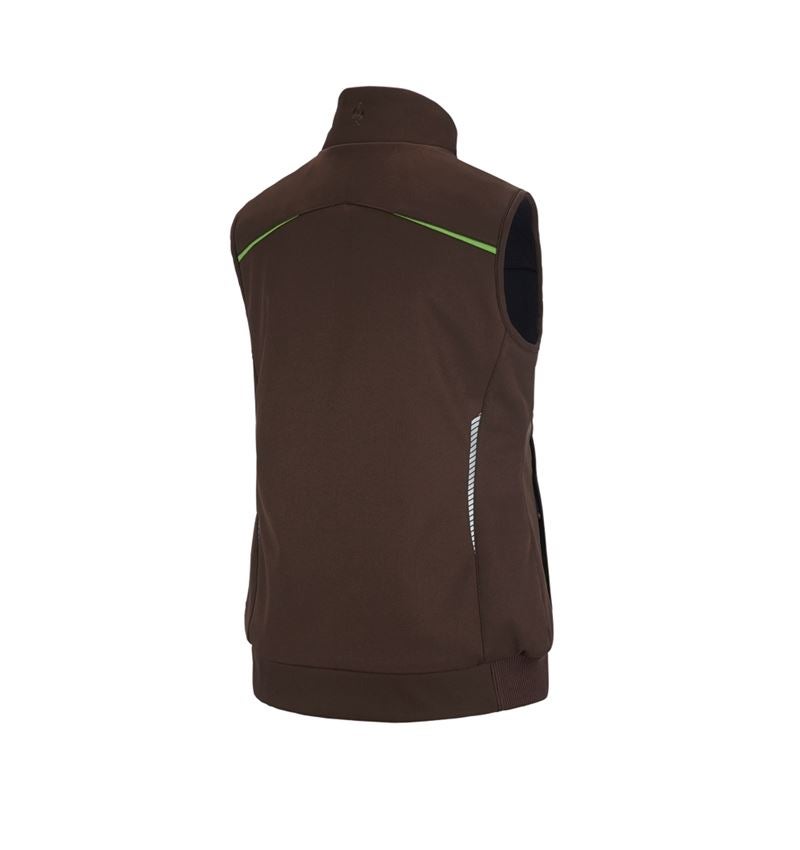 Winter Softshellweste e.s.motion 2020, Damen