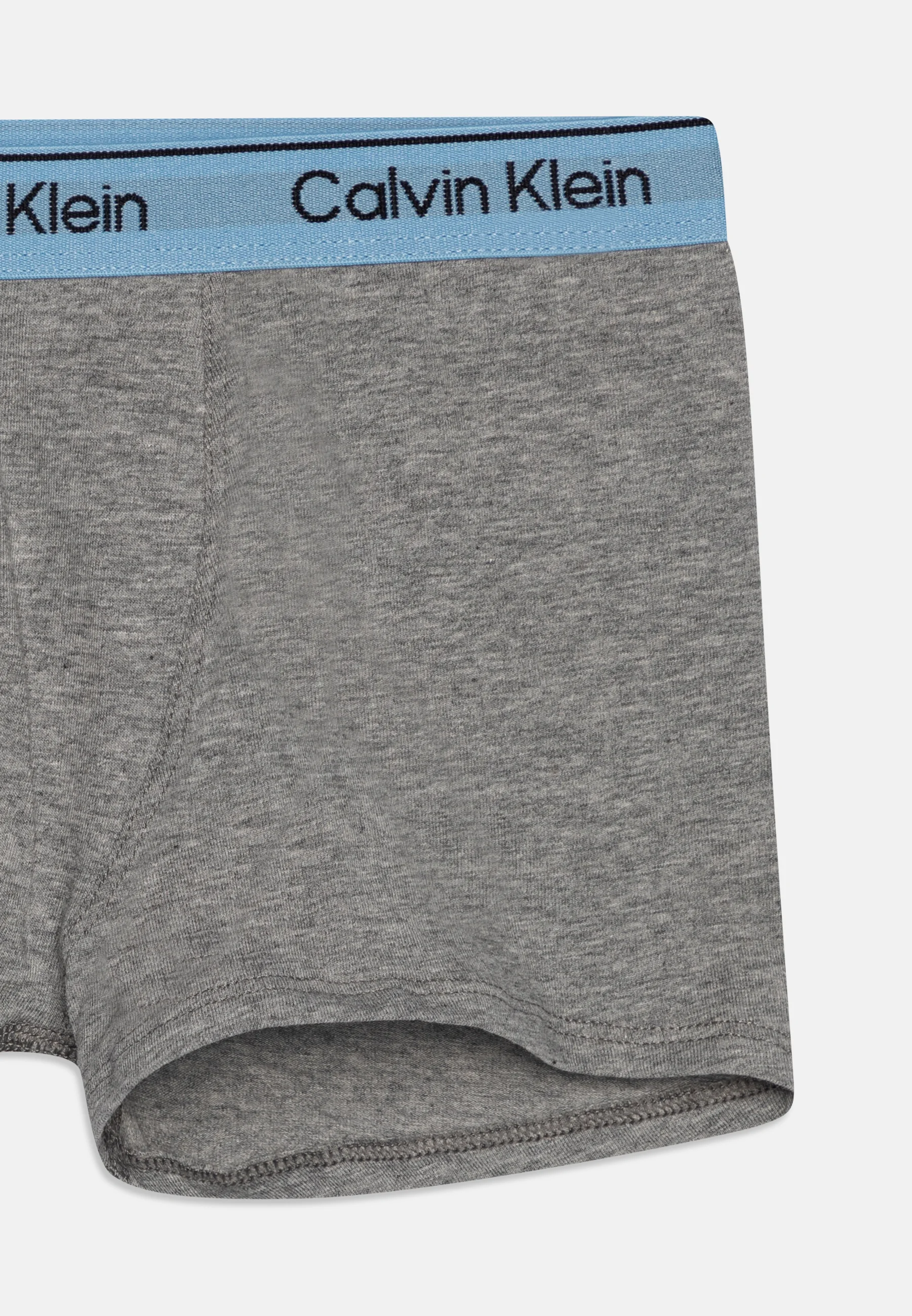 Calvin Klein Underwear TRUNK PACK DE 2 - Culotte