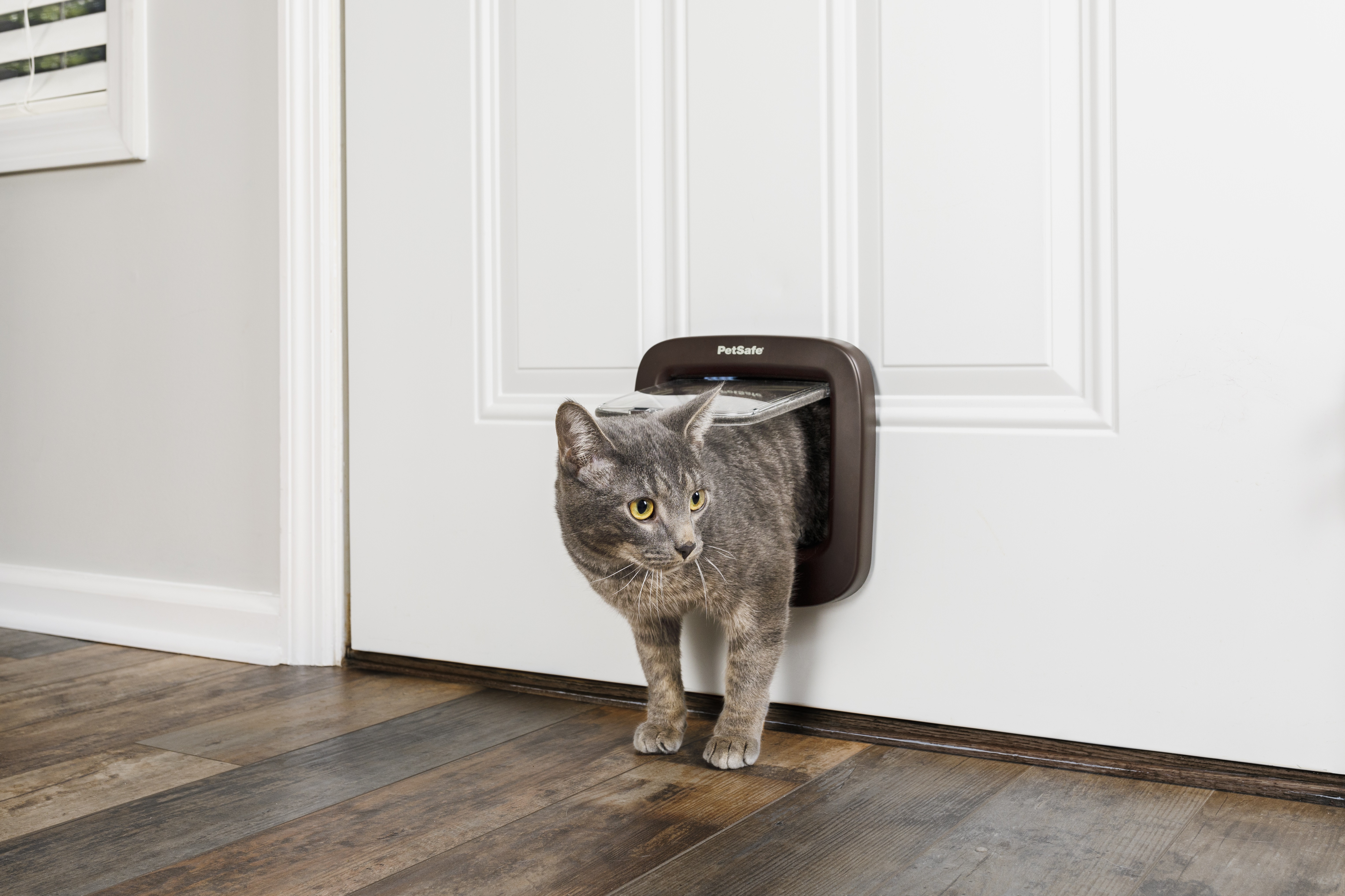 PetSafe Klappen & Türen PetSafe Katzenklappe mit manueller Verriegelung, Braun