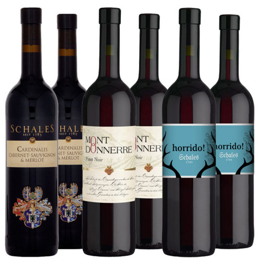 Rotwein Paket - Weingut Schales