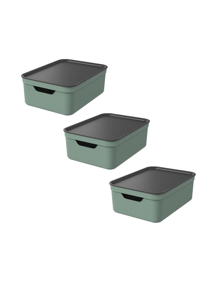 Rotho 3er Set Aufbewahrungsbox mit Deckel 10L JIVE in Reseda green ged. günstig kaufen onesize