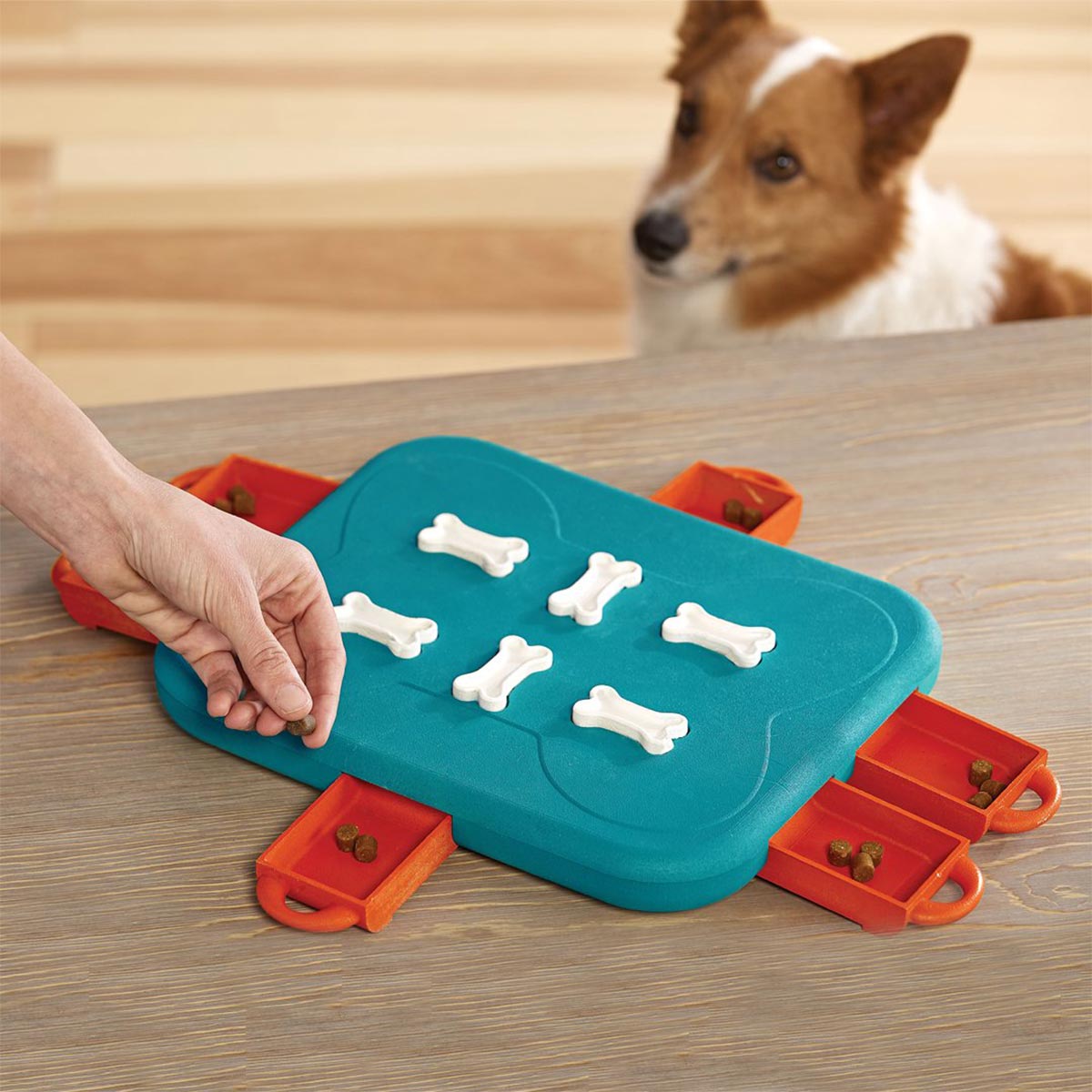 Dog Casino Intelligenzspielzeug günstig kaufen bei ZooRoyal